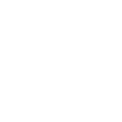 Three Eagles Llangollen Logo